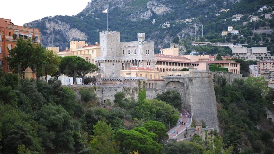 French Riviera: Private Driver Guide Tailor-Made Tour - Cannes and Its Star-Studded Beaches