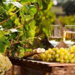 French Riviera, Wine tasting, Provencal market and Countryside - The Glamour of Cannes and the Famous Boulevard La Croisette