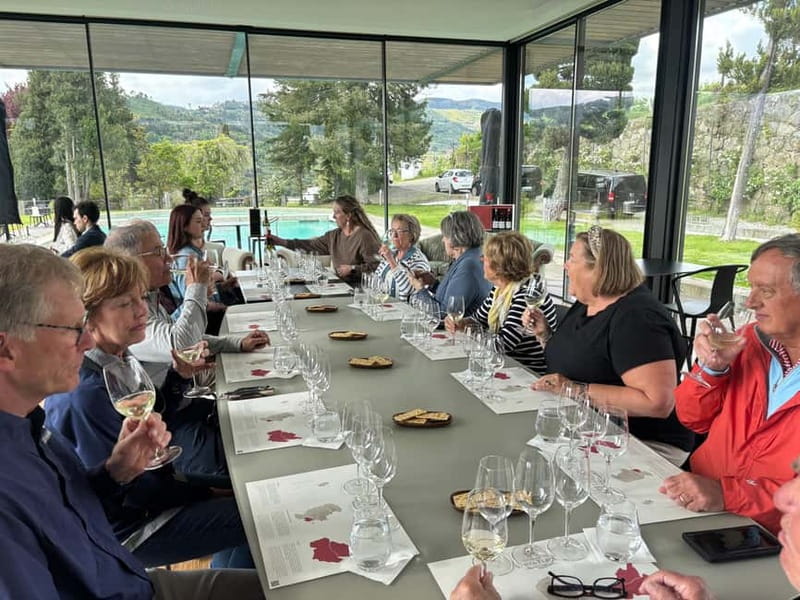 Fresh Wine Tour: Discover Vinho Verde in Douro Valley - The Tour’s Focus on Vinho Verde’s Unique Flavors