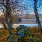 From Aberdeen: Dunnottar Castle and Cairngorms Day Trip - Exploring the Vastness of Cairngorms National Park