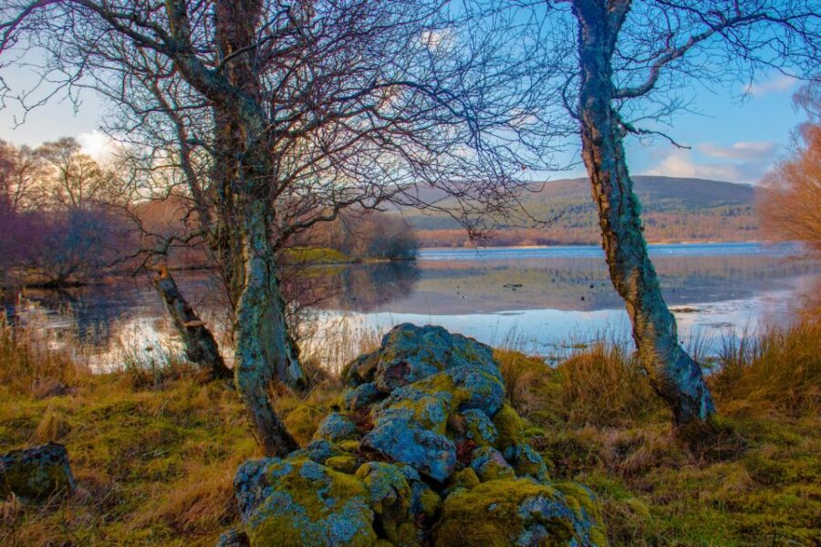From Aberdeen: Dunnottar Castle and Cairngorms Day Trip - Exploring the Vastness of Cairngorms National Park