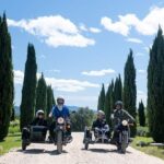 From Aix-en-Provence: 2-Hour Wine & Scenery Sidecar Tour - The Vineyard Stop and Wine Tasting Experience
