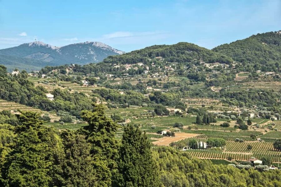 From Aix en Provence: Bandol & Cassis Full-day Wine Tour - Exploring Cassis and its Stunning Natural Park