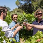 From Aix-en-Provence: Côtes de Provence Wine Tour - The Ideal Start Point Outside Aix-en-Provence