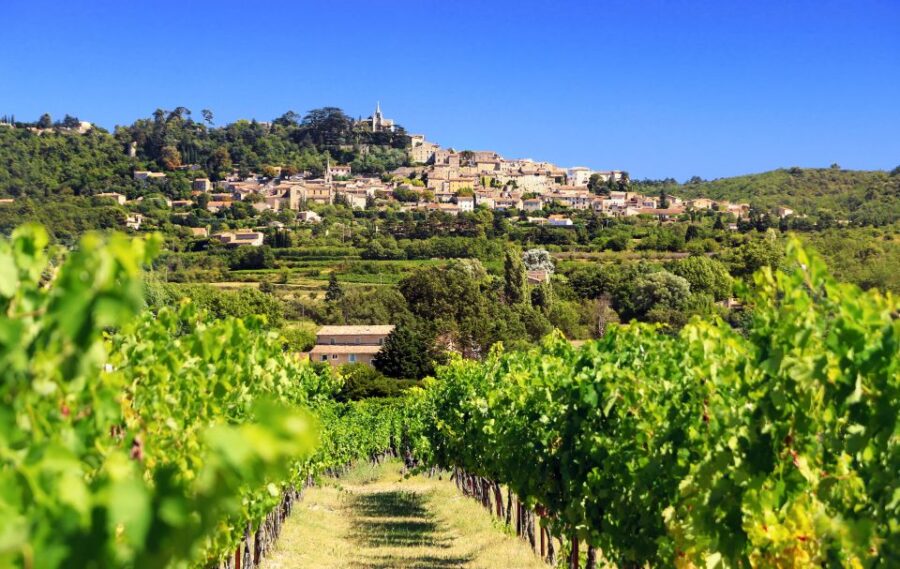 From Aix-en-Provence: Half-Day Wine Tour - Scenic Drive Through Provençal Vines and Countryside
