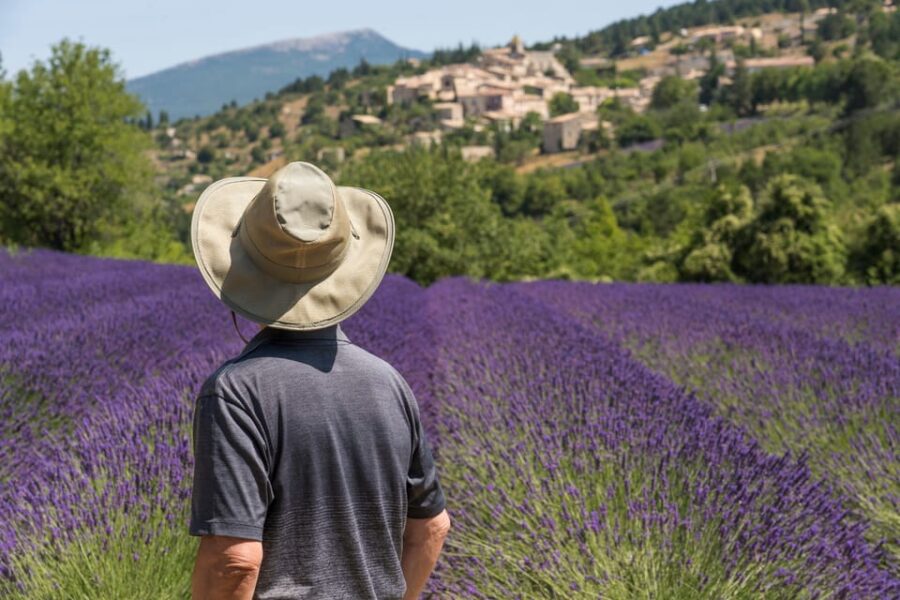From Aix-en-Provence: Sault Lavender & Gordes Full-Day Tour - From Aix-en-Provence to the Lavender Fields of Sault