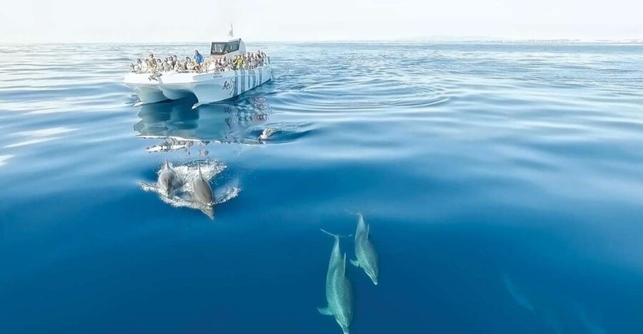 From Albufeira: Dolphins and Caves 2.5-Hour Boat Trip - Meeting Point and Booking Flexibility