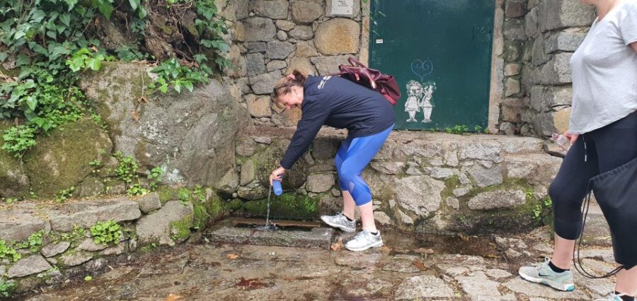 From Albufeira: Excursion to Silves Castle and Monchique - Exploring Silves Castle and Its Moorish Heritage