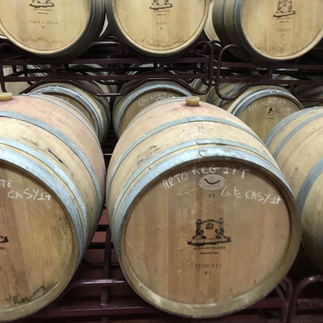 From Albufeira: Full-Day Wine Tasting Tour with a Guide - From Albufeira to the Algarve Countryside