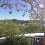 From Albufeira: Half-Day Winery Tour and Silves - A Personal Touch at a Family-Owned Algarve Winery