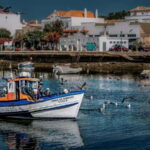 From Albufeira: Loule, Faro, and Tavira Guided Day Trip - Starting the Day in Loulé’s Vibrant Market