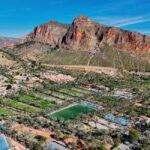 From Alicante: Elche Half-Day of Palms, History & Heritage - Exploring the Huerto del Cura Garden and Its Exotic Palm Collection