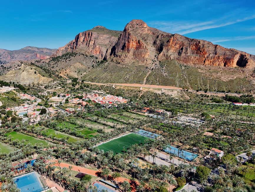 From Alicante: Elche Half-Day of Palms, History & Heritage - Exploring the Huerto del Cura Garden and Its Exotic Palm Collection