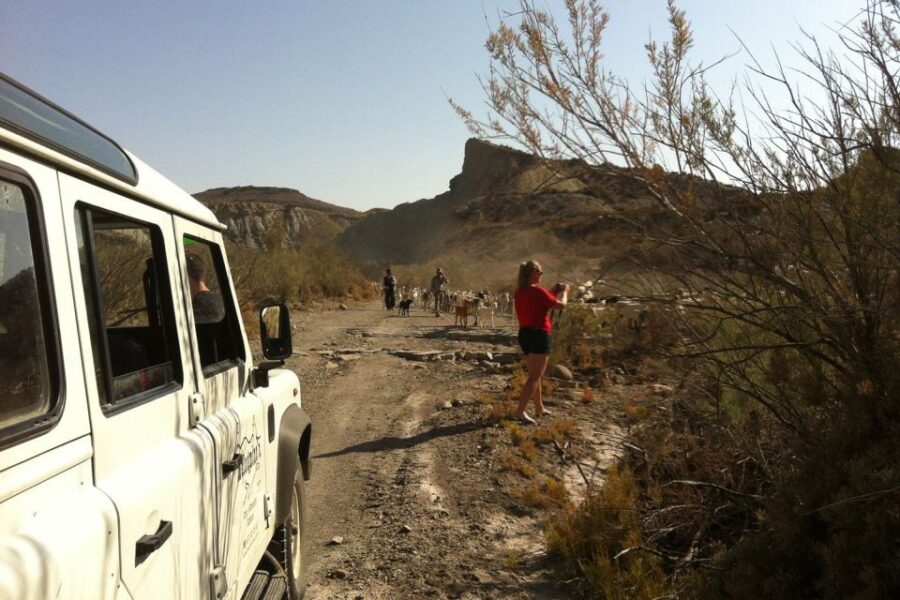 From Almeria: Tabernas Desert 4WD joyriding Tour - Starting Point in the Heart of Tabernas Village