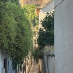From Almuñécar: Granada Day Trip with Alhambra and Cathedral - The Guide’s Role and Language Support