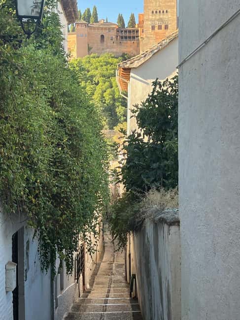 From Almuñécar: Granada Day Trip with Alhambra and Cathedral - The Guide’s Role and Language Support