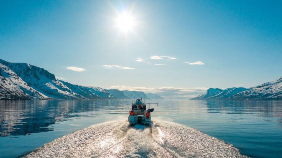 From Alta: Adventure Cruise in Alta Fjord - Meeting Point and Departure Logistics in Alta