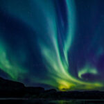 From Alta: Whale and Seabird Cruise - Observing Marine Life Close Up