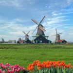 From Amsterdam; Alkmaar Cheese market & Zaanse Schans - The Excitement of Alkmaar’s Cheese Market Experience