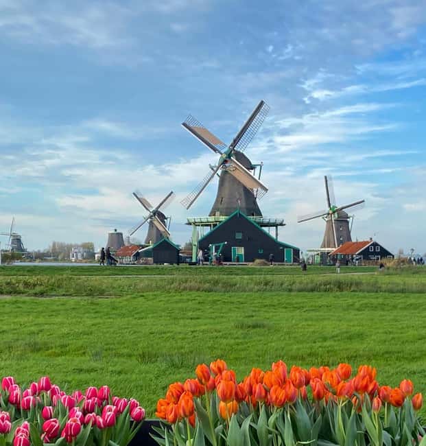 From Amsterdam; Alkmaar Cheese market & Zaanse Schans - The Excitement of Alkmaar’s Cheese Market Experience