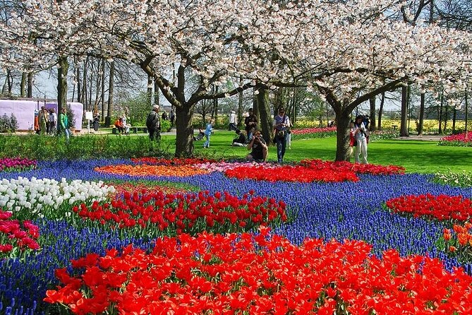 From Amsterdam: Keukenhof Gardens Ticket and Transfer - Exploring Keukenhof Gardens for Three Hours