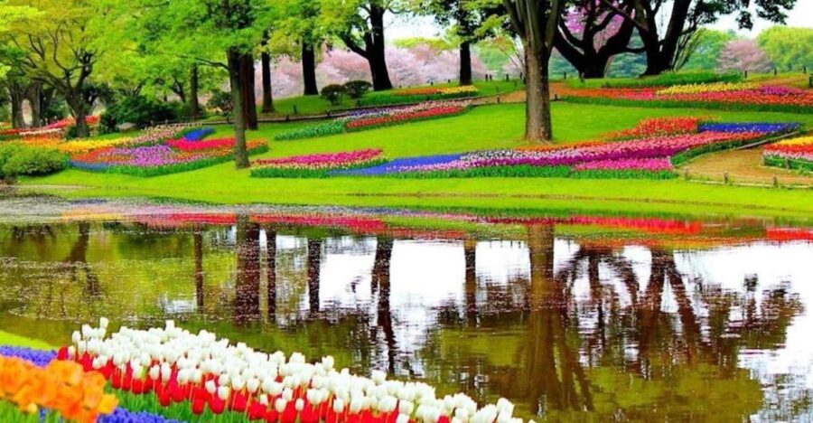 From Amsterdam: Private Keukenhof and Tulip Experience Tour - Exploring Keukenhof’s Flower Displays and Exhibitions