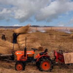 From Amsterdam: Zaanse Schans and Giethoorn Countryside Trip - Exploring Zaanse Schans’s Iconic Windmills and Wooden Houses