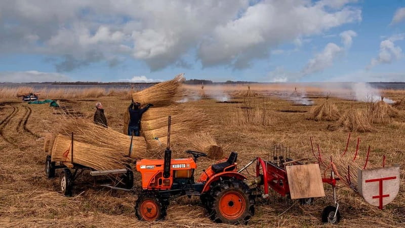 From Amsterdam: Zaanse Schans and Giethoorn Countryside Trip - Exploring Zaanse Schans’s Iconic Windmills and Wooden Houses