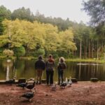 From Angra: Terceira Island Half-Day Tour - Panoramic Views from Monte Brasil