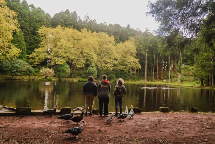 From Angra: Terceira Island Half-Day Tour - Panoramic Views from Monte Brasil