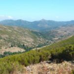 From Arzana: trekking to Punta La Marmora with aperitif - Starting at the Nuragic Village of Ruinas at 1,200 meters