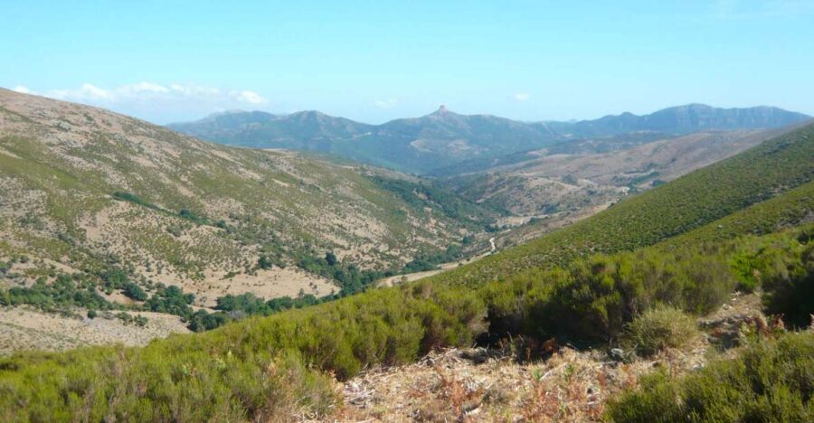 From Arzana: trekking to Punta La Marmora with aperitif - Starting at the Nuragic Village of Ruinas at 1,200 meters