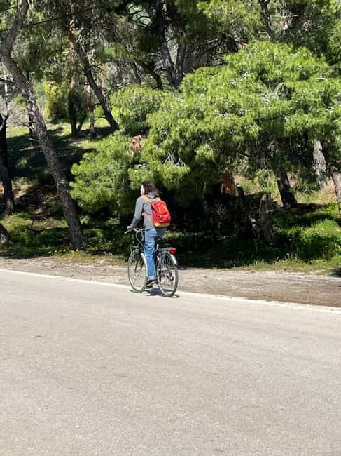 From Athens: Bike & Island Full-Day Tour to Poros - How the Round-Trip Ferry Runs from Athens to Poros