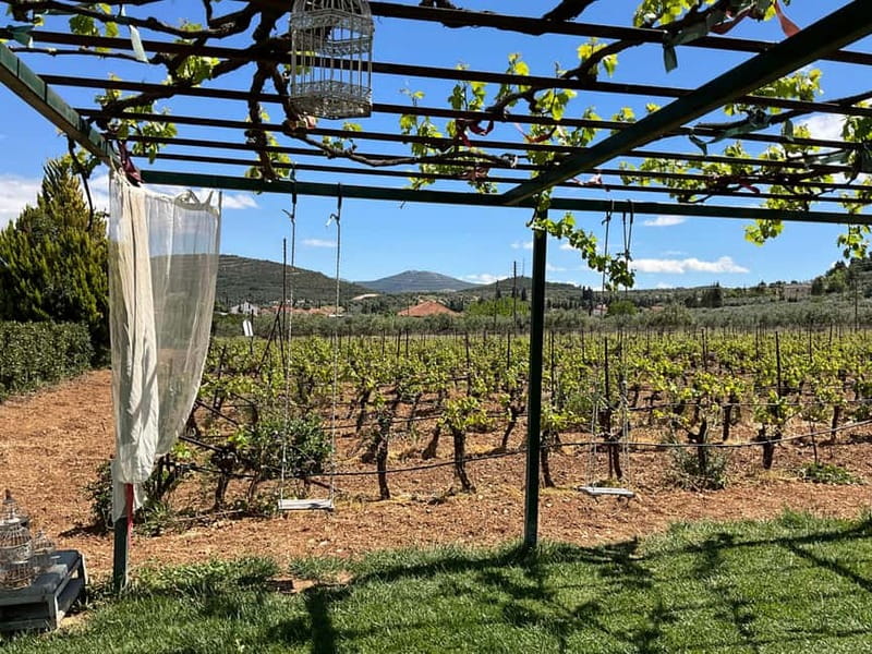 From Athens: Nemea Wine Tour with Corinth Canal Stop - Visiting the Archaeological Site and Museum in Nemea