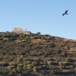 From Athens: Temple of Poseidon Private Couples Trip - Exploring the Iconic Temple of Poseidon at Cape Sounio