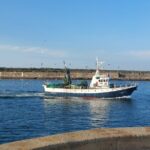From Aveiro: Costa Nova, Barra, Vista Alegre - Half-Day Trip - Visiting the Aveiro Lagoon and Salt Pans
