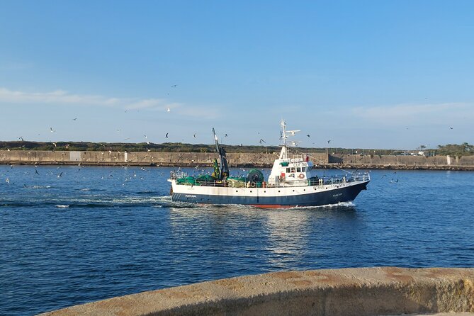 From Aveiro: Costa Nova, Barra, Vista Alegre - Half-Day Trip - Visiting the Aveiro Lagoon and Salt Pans