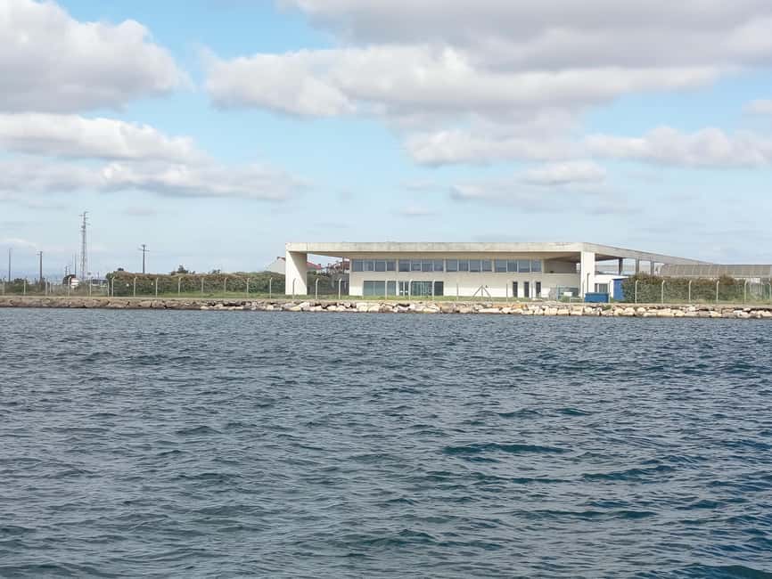 From Aveiro to the Beaches by Boat - Discovering the Salt Marshes and Evolving Landscapes