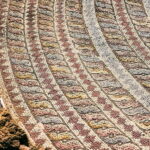 From Ayia Napa/Protaras/Larnaca: Paphos & Kourion in Italian - Discovering Kourion’s Archaeological Marvels