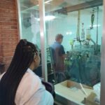 From Barcelona: 3 wineries with hotel pick-up and Lunch - Discovering the Wineries in the Penedes Region