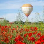 From Barcelona: Half-Day Hot Air Balloon Flight Ticket - The Experience: Preparing and Inflating the Balloons