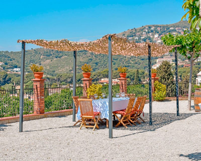 From Barcelona: Private Alella Wine Tour by Electric Bike - Scenic Coastal Cycling from Barcelona to Alella