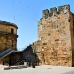 From Barcelona: Private Full-Day Tarragona and Sitges Tour - The Pride of Tarragona: Roman Ruins and Ancient Architecture