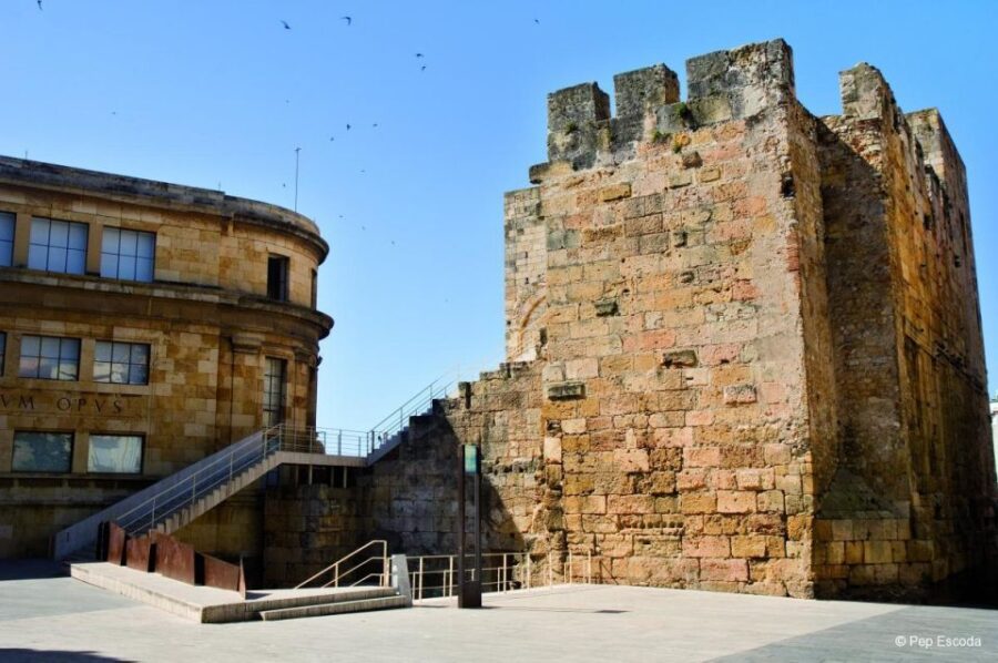 From Barcelona: Private Full-Day Tarragona and Sitges Tour - The Pride of Tarragona: Roman Ruins and Ancient Architecture