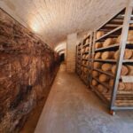 From Bari: Burrata cheese and confetti experience - Starting with Convenience: Pickup and Transport Details