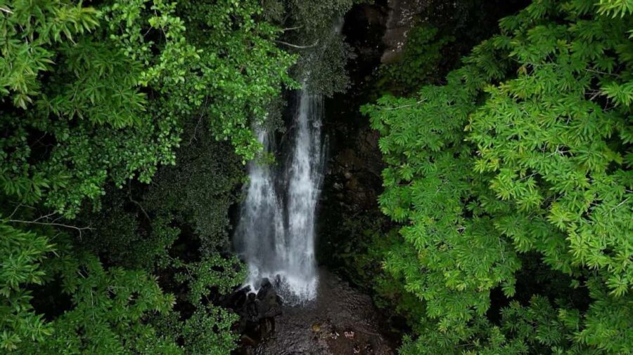 From Batumi: Adjara Adventure Tour - Final Thoughts on the Adjara Adventure Tour