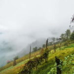 From Batumi: Songs & Flavors of Merisi Village - Scenic Drive from Batumi to Merisi Village