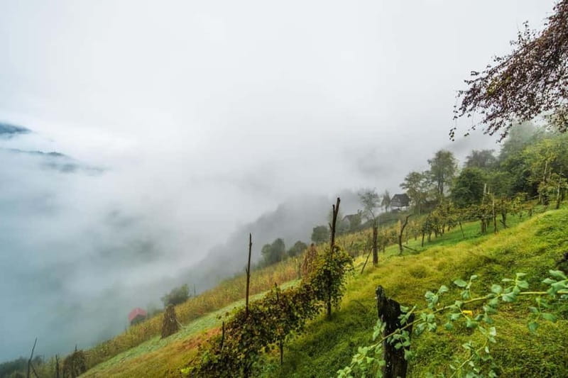 From Batumi: Songs & Flavors of Merisi Village - Scenic Drive from Batumi to Merisi Village