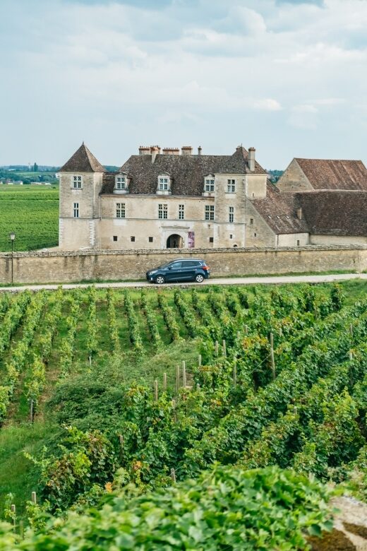 From Beaune: Burgundy Day Trip with 14 Wine Tastings - Exploring the Vineyards Near Beaune and Nuits Saint Georges