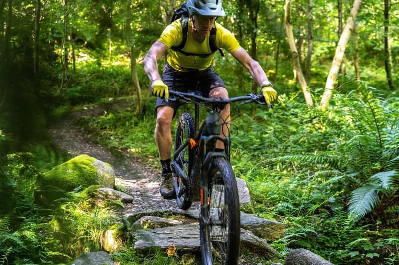 From Belfast: Mountain Bike Experience - What’s Included in the Bike Hire Package